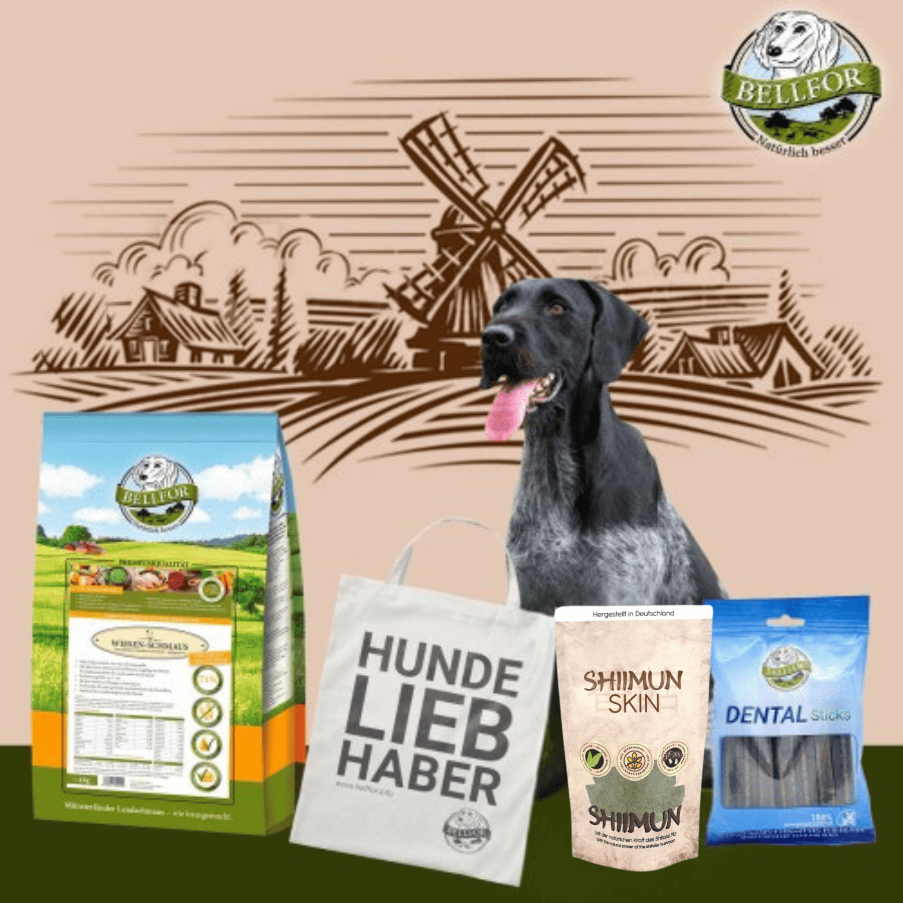 German Wirehaired Pointer food set - Wiesen-Schmaus 4 kg + Dental Sticks 100g + Shiimun Skin Powder 50 g + 1 Jute bag