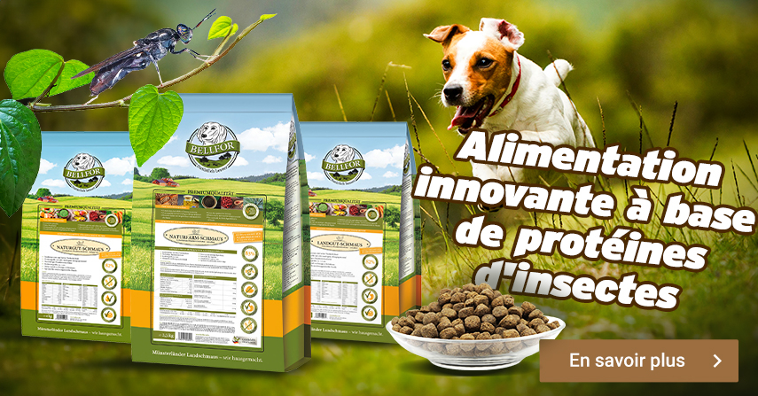 Feed with insect protein