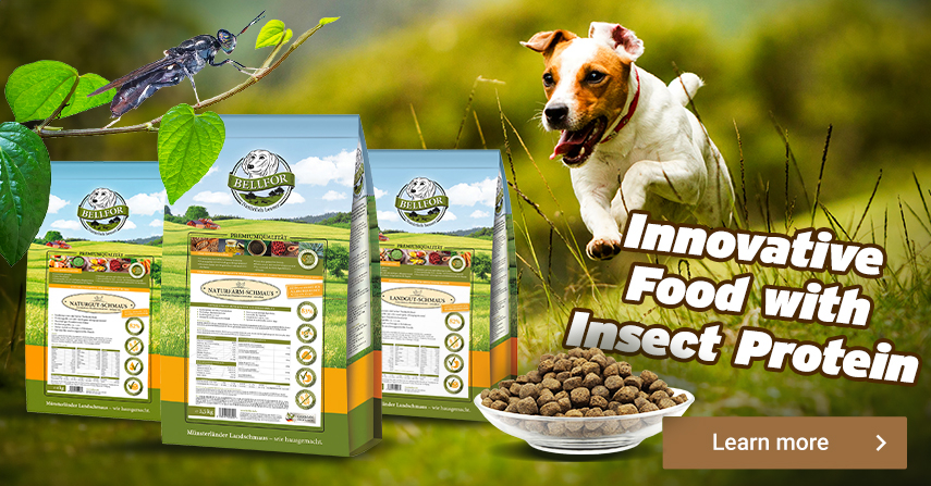 Hypoallergenic food from Bellfor. High quality dog food with lots of meat
