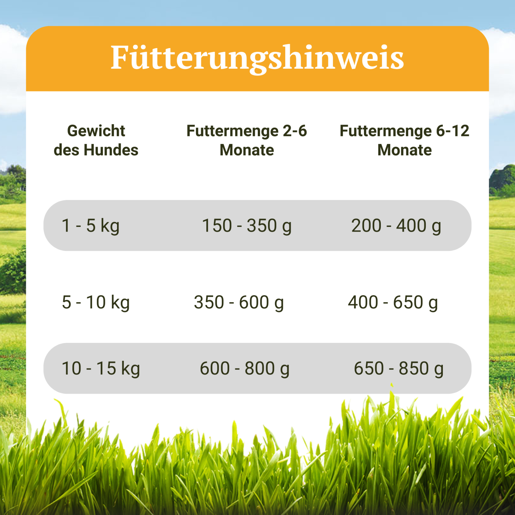 kratzbaum katzen groß Kratzbaum für grosse Katzen – Extra stabil & robust – pandaloo.ch