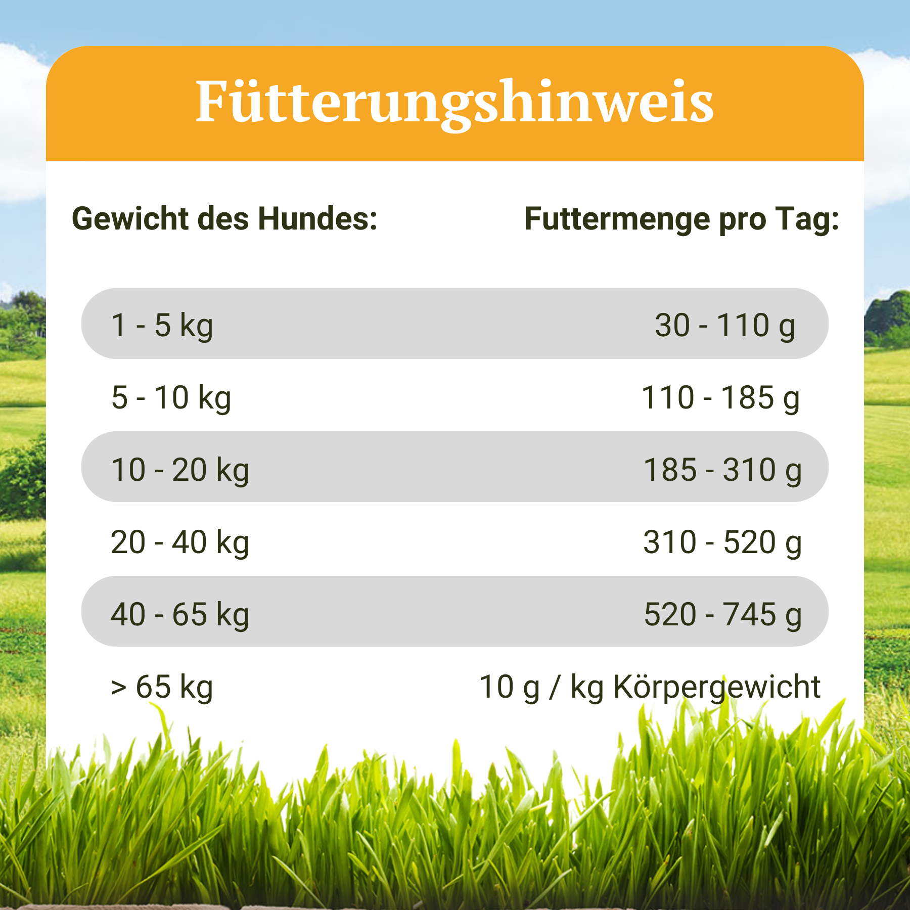 Kornfri tørfoder til hunde med insekter - Naturfarm-Schmaus - 7,5 kg