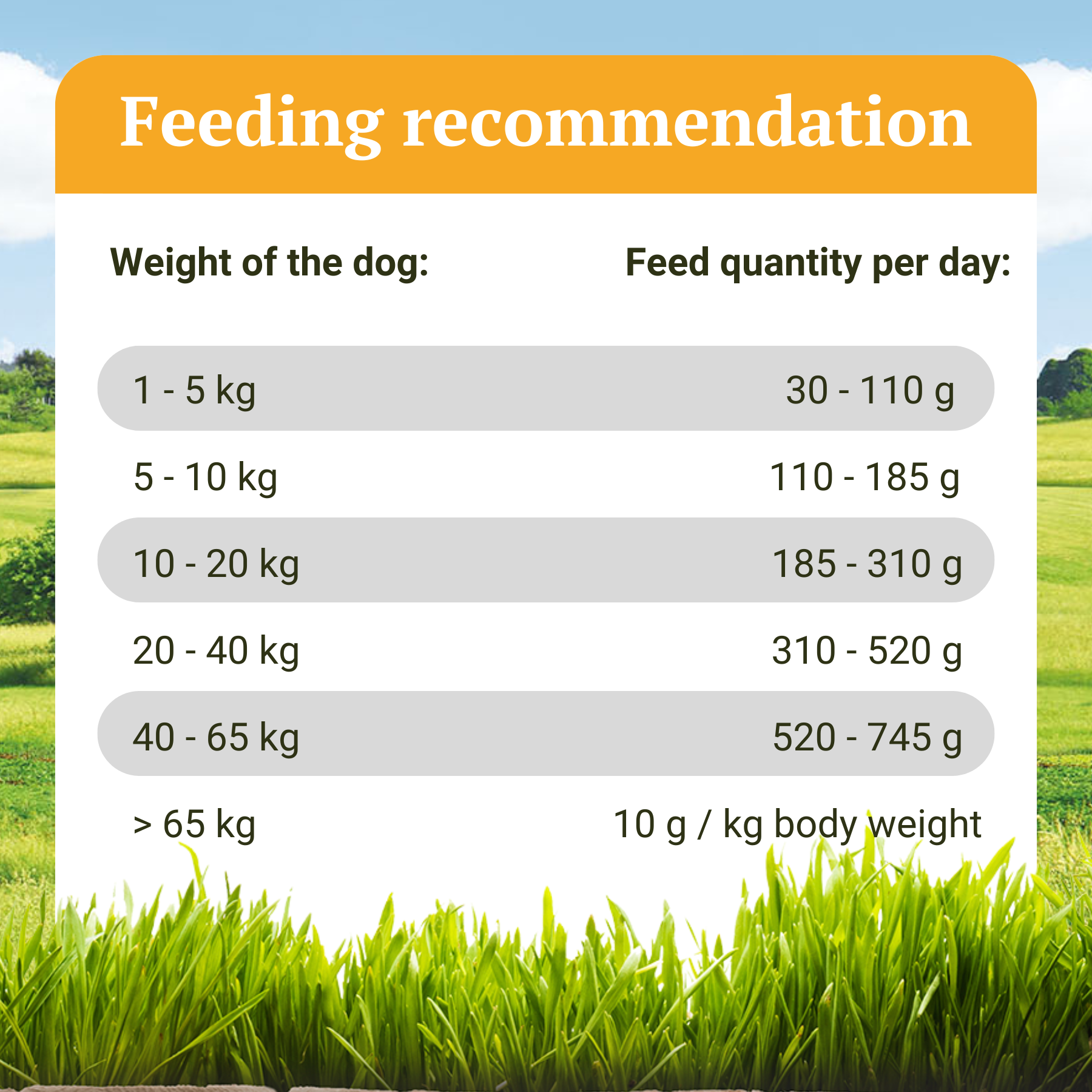 Kornfri tørfoder til hunde med insekter - Naturfarm-Schmaus - 7,5 kg