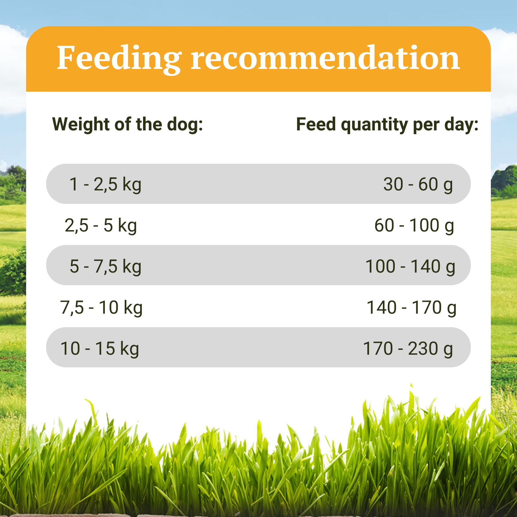Bellfor Hondenvoer Beste Graanvrij Hondenvoer Landgut-Menü Hypoallergenen Graanvrij Natvoer met Insecteneiwit 200 G Ideaal voor Honden met Nierproblemen