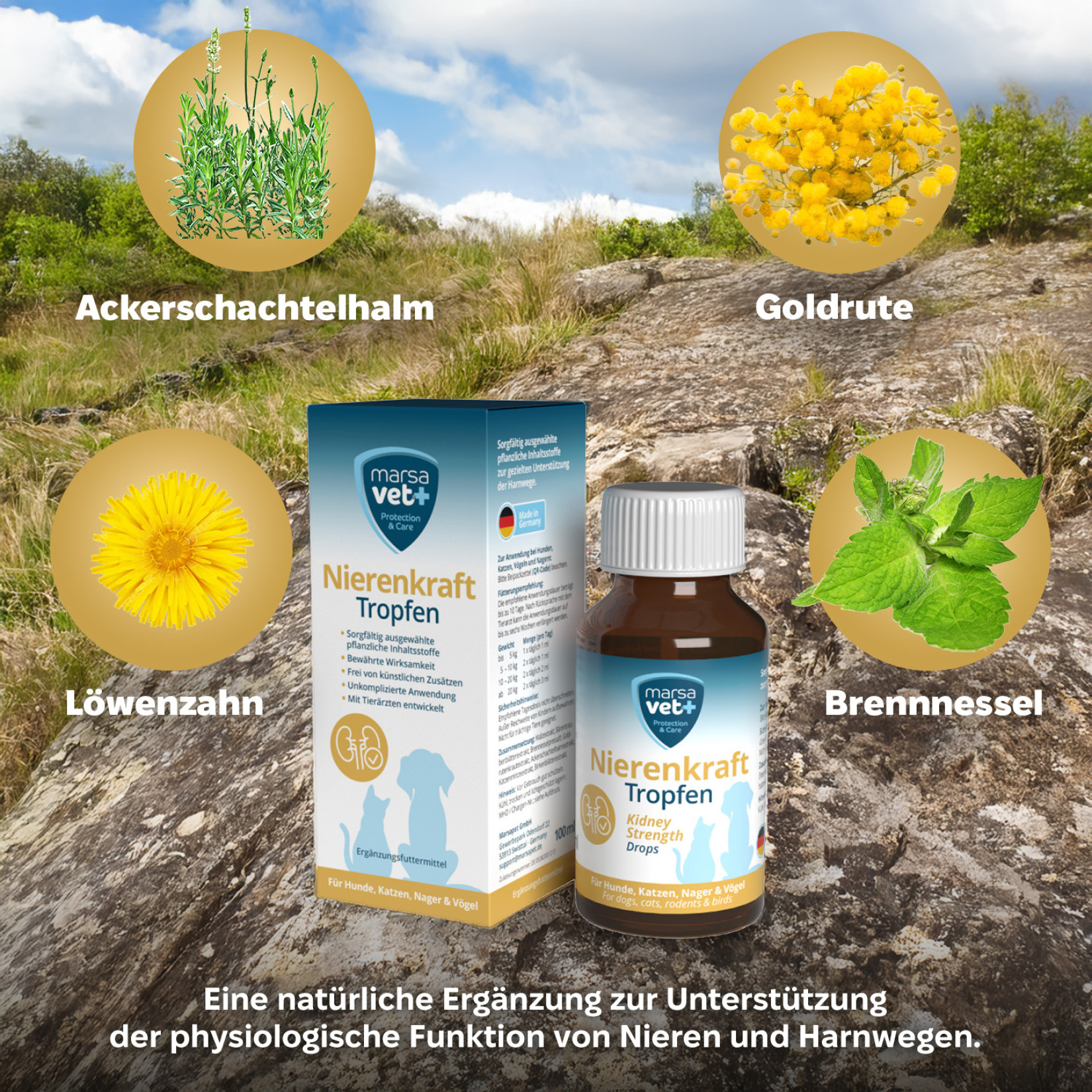 Marsavet Nierenkraft Drops - Supplementary feed for dogs, cats, birds ...