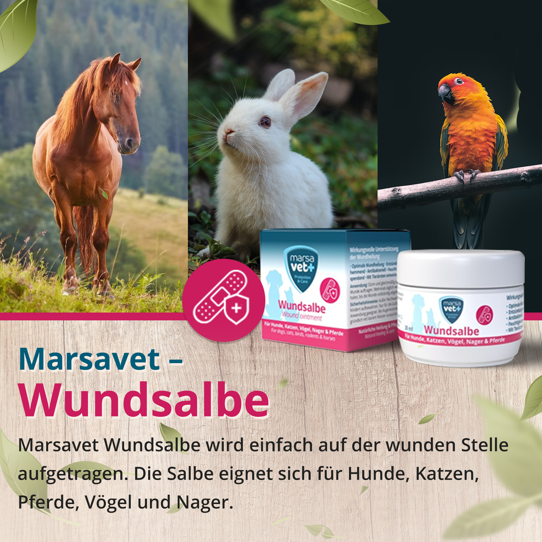Marsavet Wound Ointment - Effective Support for Wound Healing ...