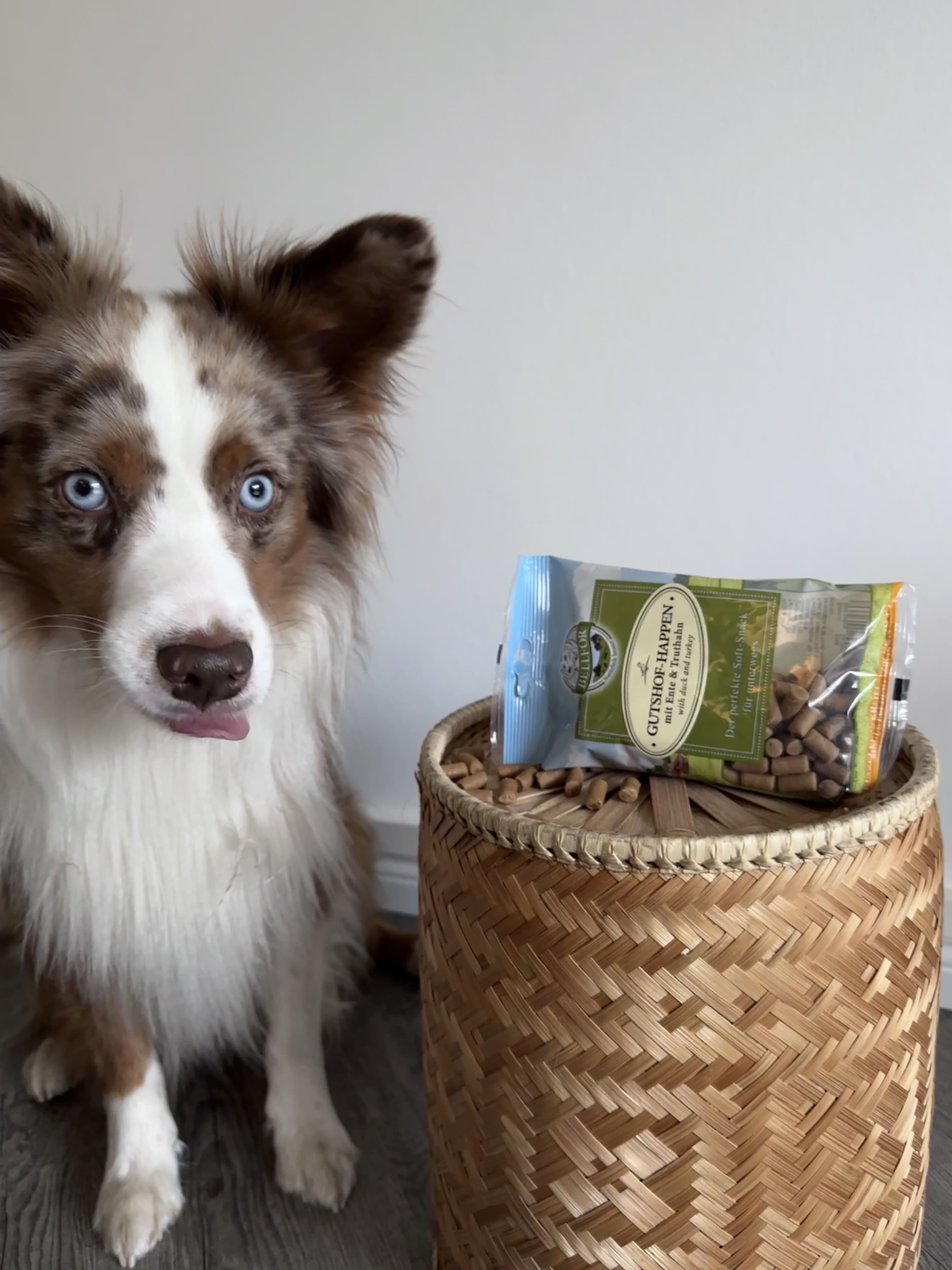 Getreidefreie Hundekekse Mit Lamm – Ideal Für Allergiker & Verdauung