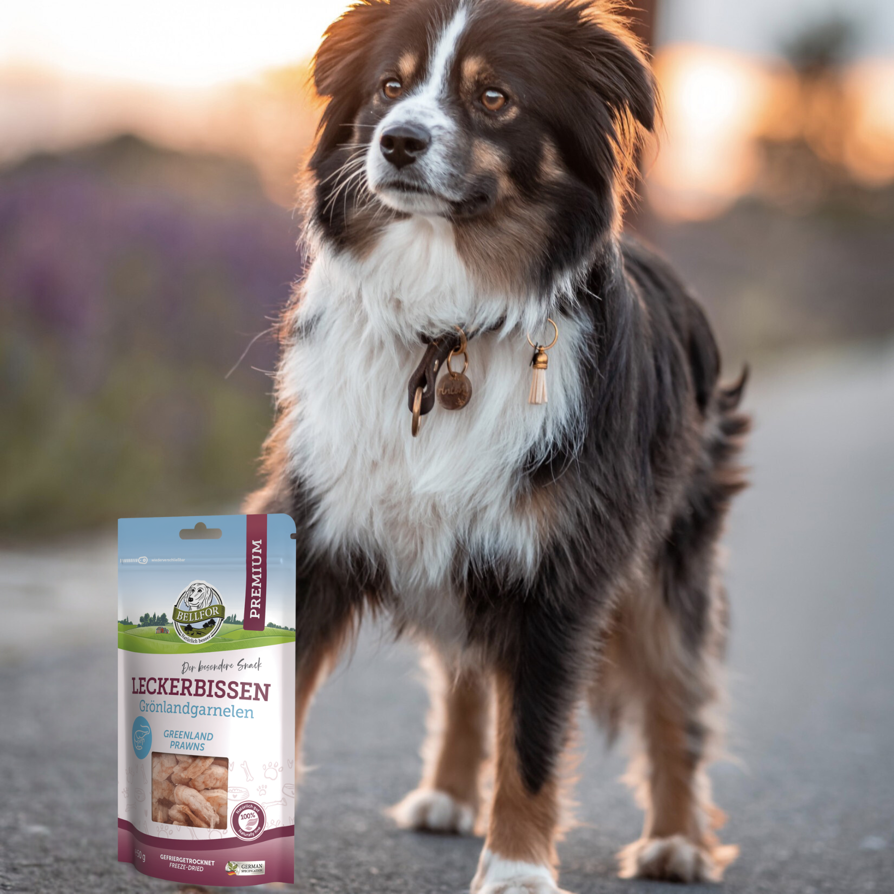 Gezonde Diepvriessnack voor Honden - Groenlandse Garnalen