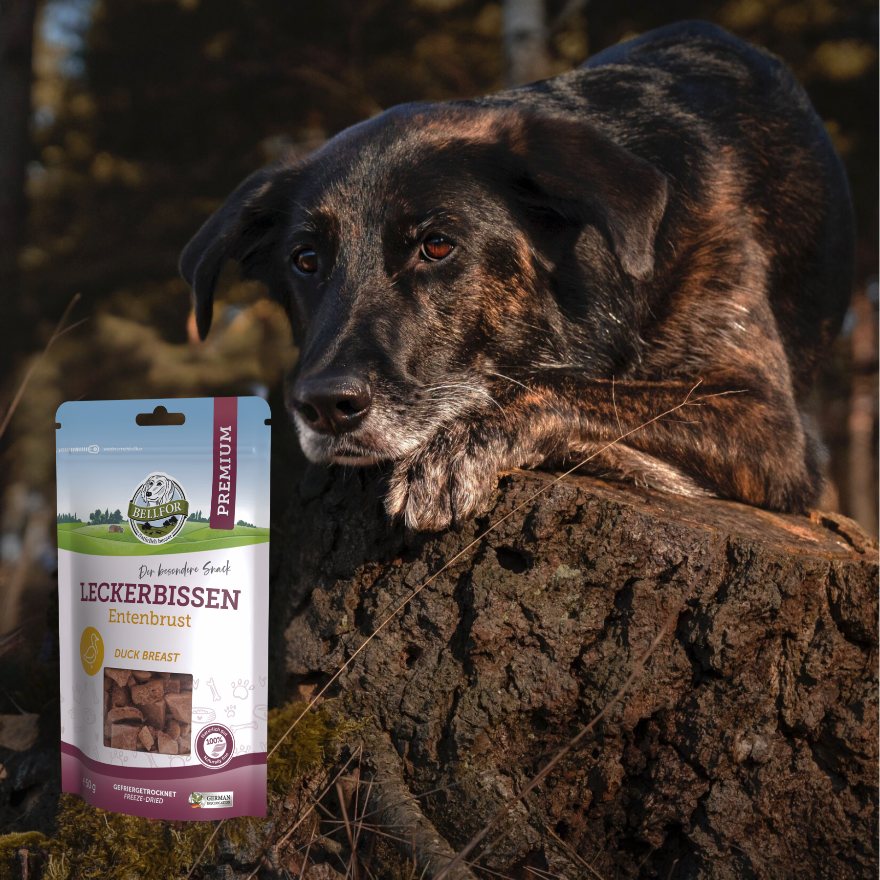 Gesunder Leckerbissen fr Hunde - Entenbrust (gefriergetrocknet)