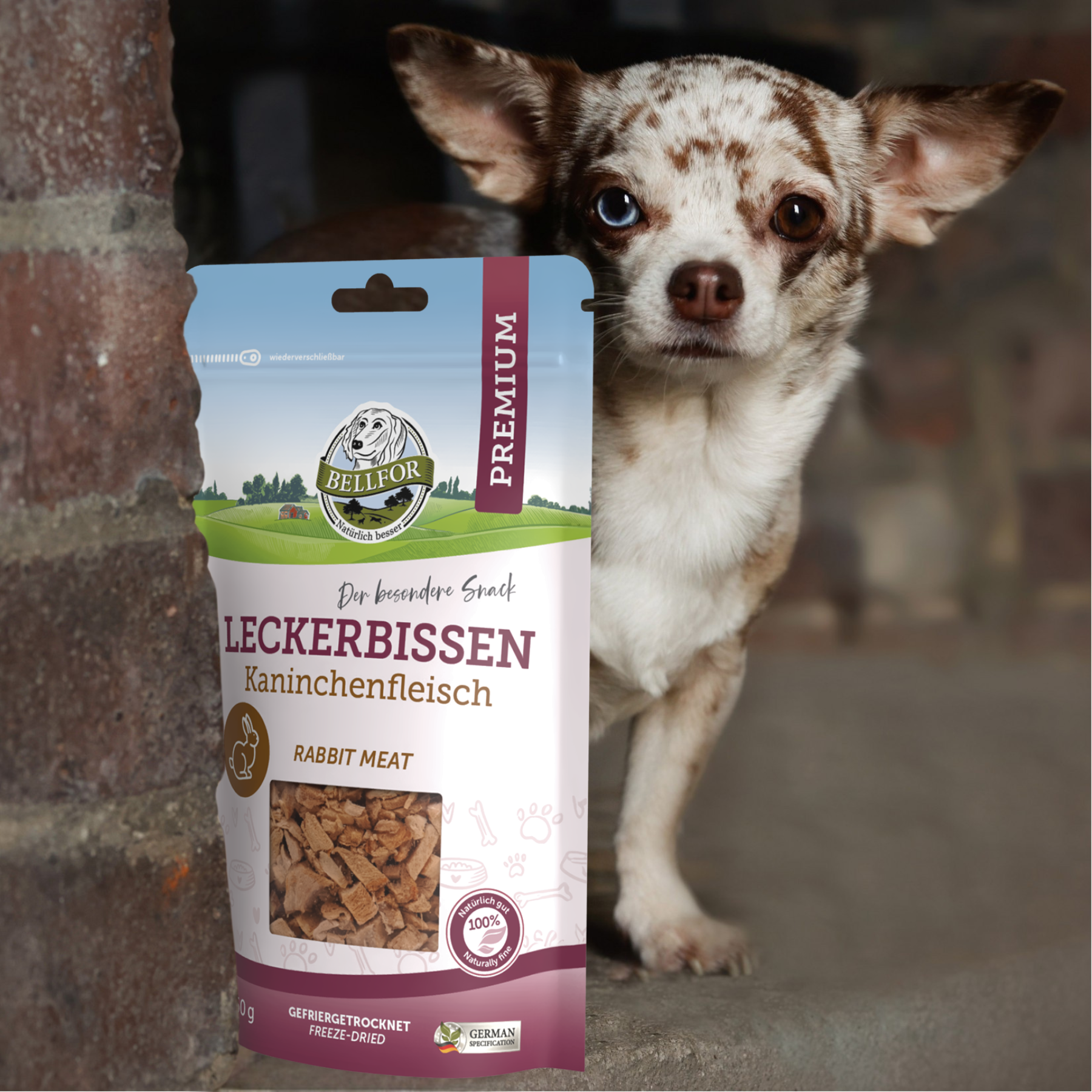 aniforte trockenfutter AniForte Lachsl Omega-3 Hund & Katze