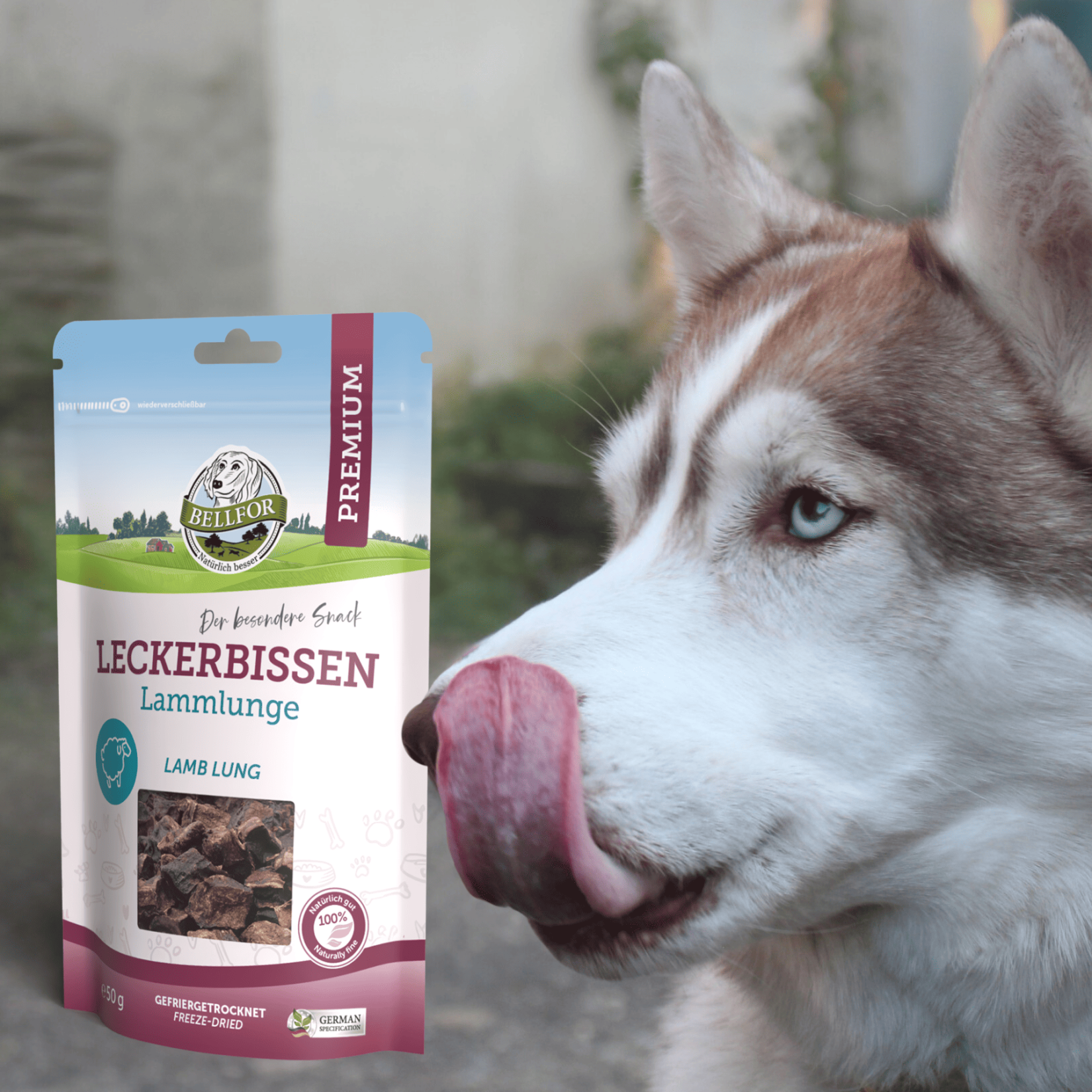 Getreidefreie Hundekekse Mit Lamm – Ideal Für Allergiker & Verdauung