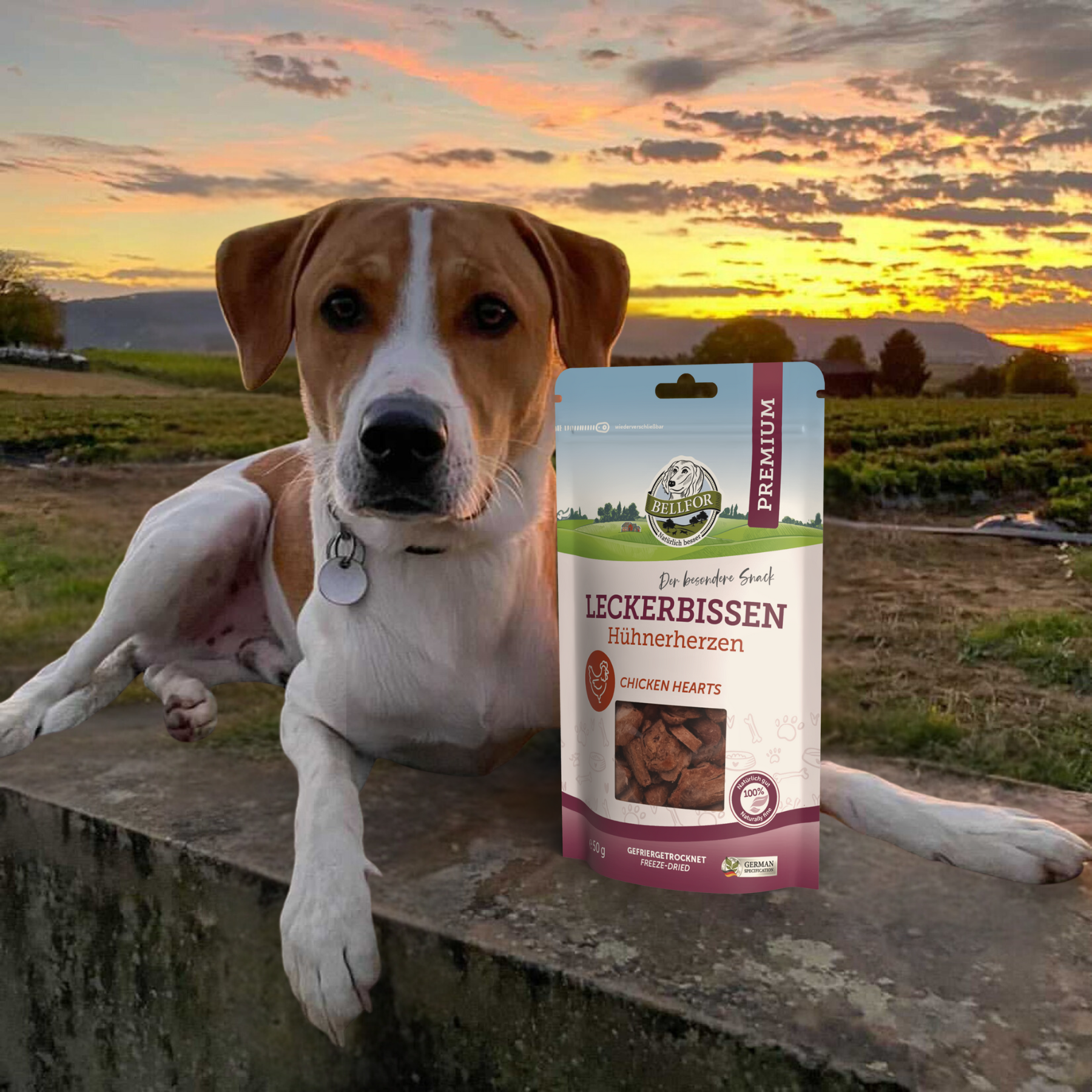 Treat for dogs - Chicken Hearts (freeze dried) - 50 g