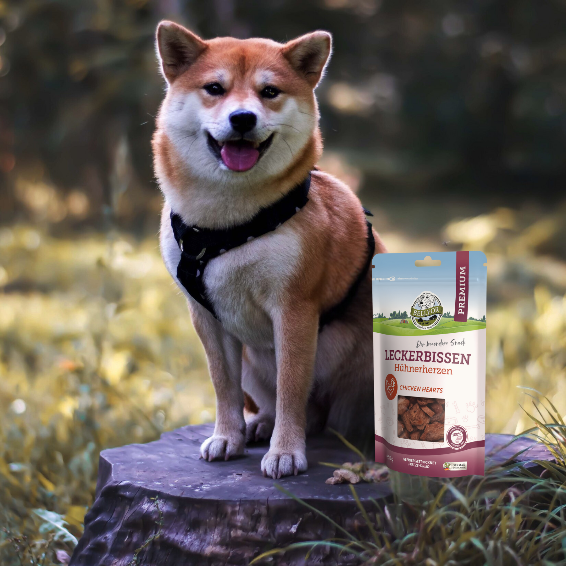 Treat for dogs - Chicken Hearts (freeze dried) - 50 g