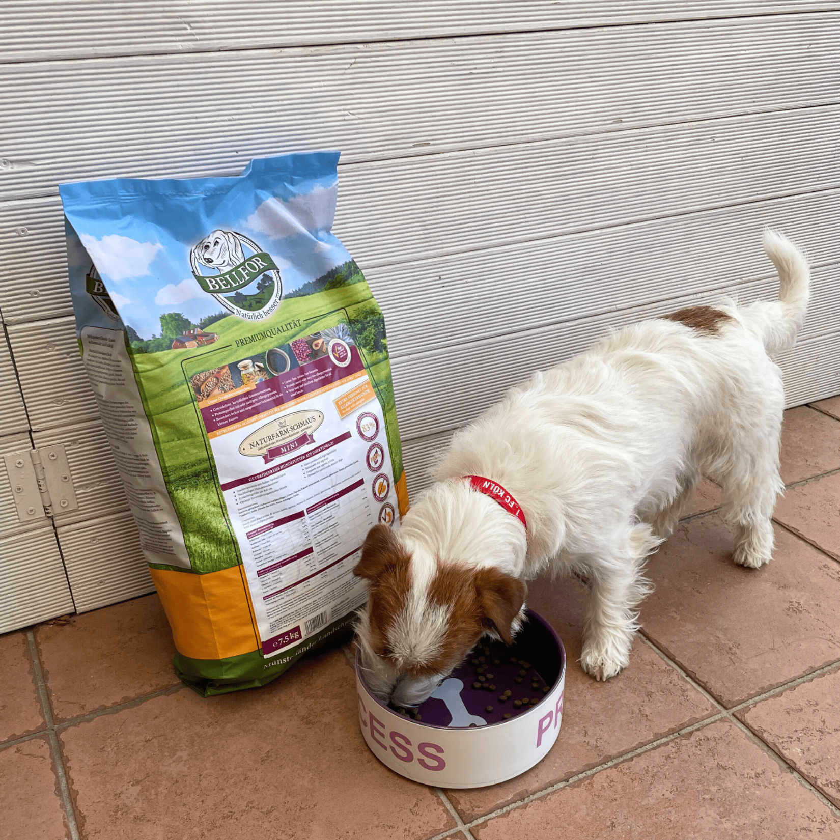 Bellfor Heide-Schmaus Mini  Trockenfutter Mit Lamm & Kaninchen  7,5 Kg   Hundenahrung Aus Deutschland Bellfor Hundefutter