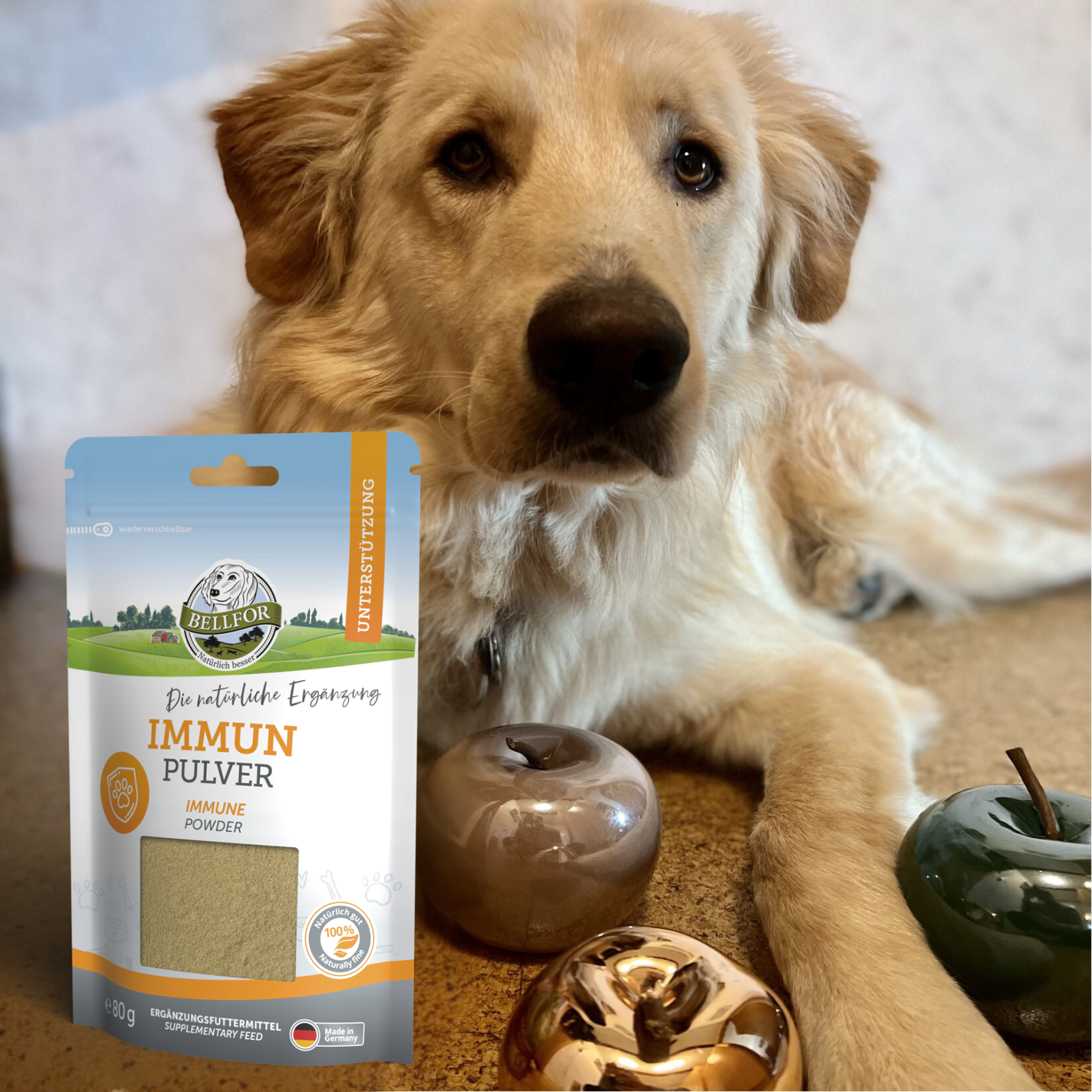 Immun Pulver von Bellfor mit Brennnessel, Hagebutte und Insektenprotein -  Ergnzungsfuttermittel fr Hunde - 80 g