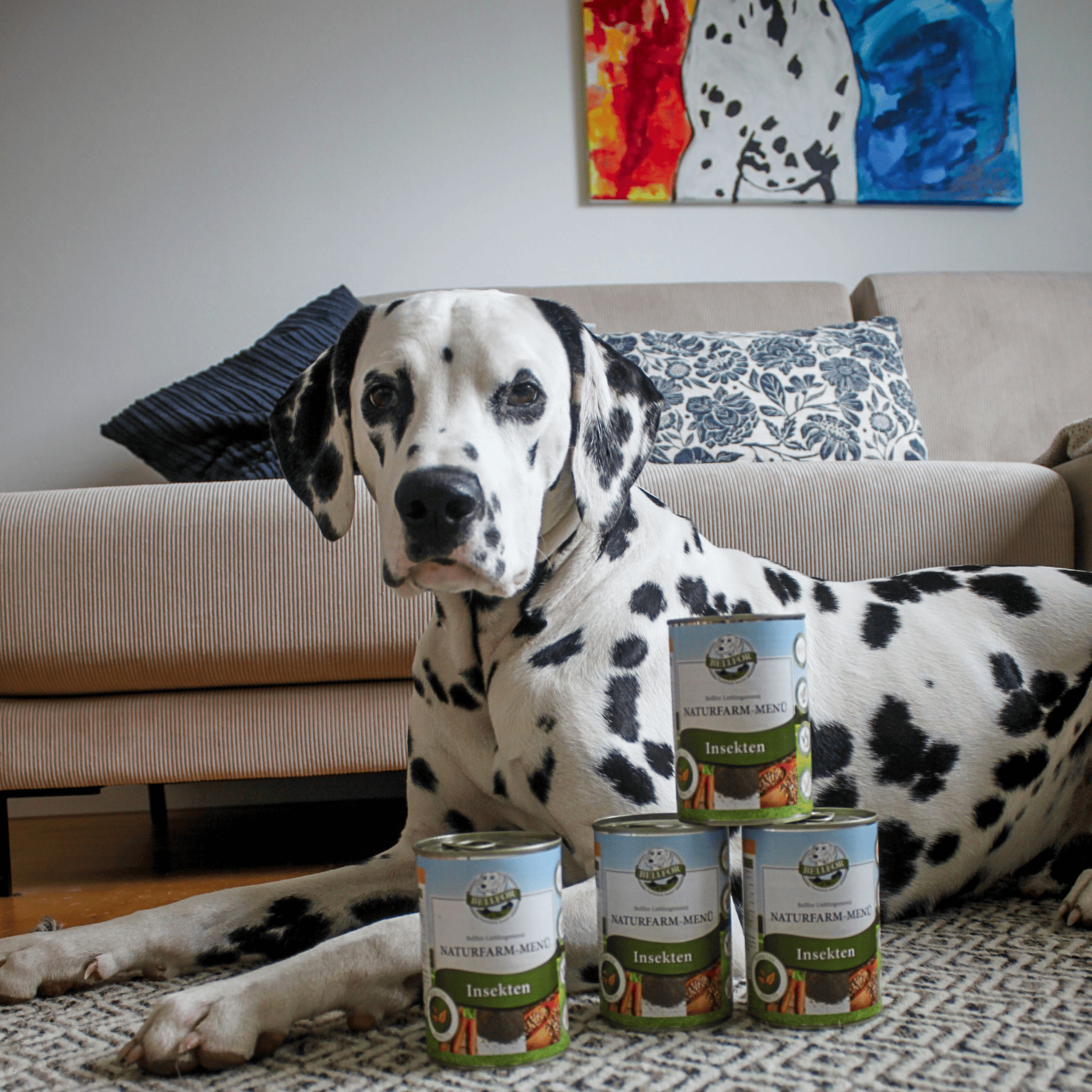 Hypoallergenes Nassfutter fr Hunde mit Insekten  ohne Getreide -  Naturfarm-Men