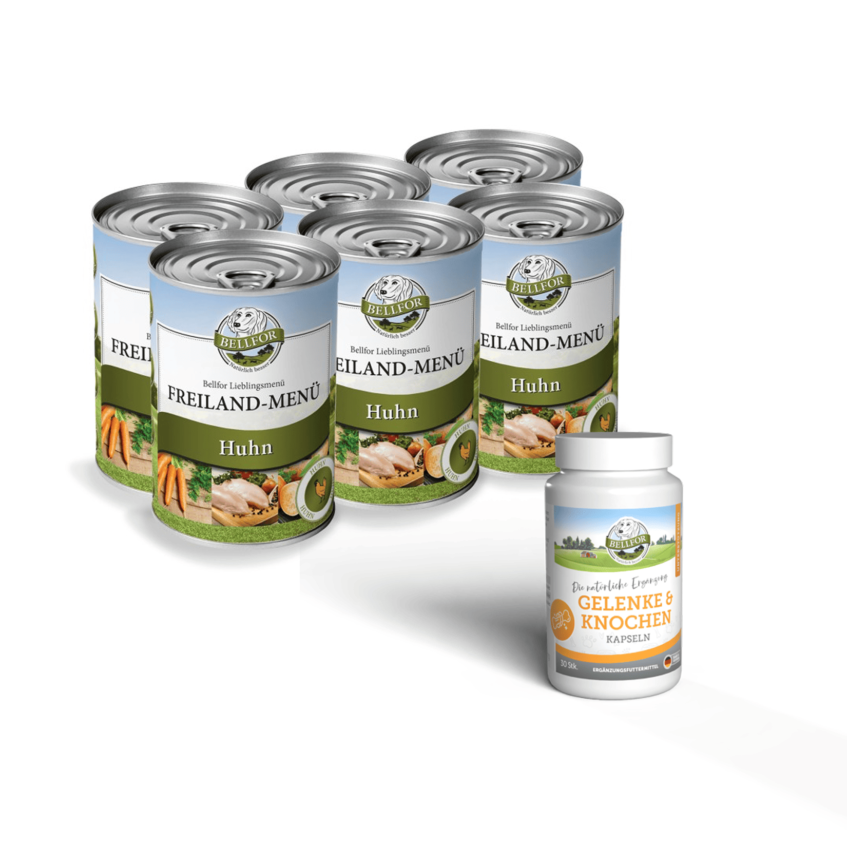 Snapshot of Best Arthritis Dog Food For Small Breeds